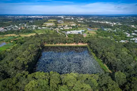 Về thăm "rừng cây trăm tuổi" giữa thành phố miền Tây