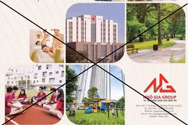 Công ty vẽ dự án “ma” ở Phú Yên có chủ tịch sinh năm 1995