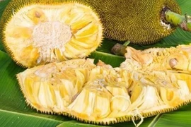 Lợi ích bất ngờ từ quả mít