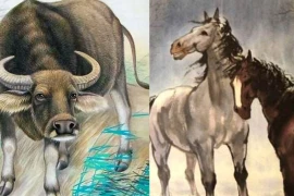 Từ 27/10 đến 11/11, ba con giáp lộc tràn vào nhà, hốt vàng hốt bạc