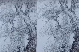 Trắc nghiệm tâm lý: Có 18 khuôn mặt ẩn giấu trong cây thông