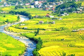 Nhộn nhịp thị trường tour du lịch dịp nghỉ lễ Quốc khánh 2/9