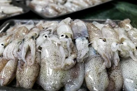 Đắt khách Nhật-Hàn, bán mực và bạch tuộc thu 557 triệu USD