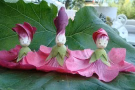 16 bức ảnh "xuất thần" từ ảo giác khuôn mặt 