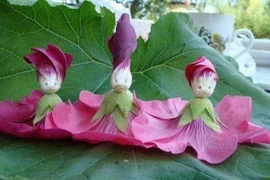 16 bức ảnh "xuất thần" từ ảo giác khuôn mặt 