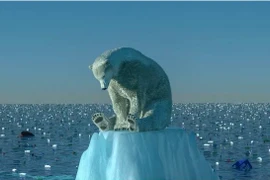 Ngày càng nhiều gấu Bắc Cực đói bụng phải vào bãi rác kiếm ăn