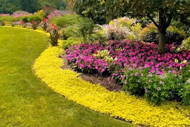 Người xưa nói: "Nhà có ngũ phúc, càng sống lâu càng thoải mái"