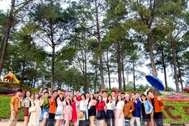 5 điểm du lịch Mộc Châu nổi tiếng travel blogger gợi ý