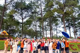 5 điểm du lịch Mộc Châu nổi tiếng travel blogger gợi ý