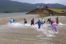 Phớt lờ cảnh báo, hàng chục người liều mình bắt cá trong dòng nước xiết