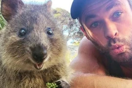 Đàn ông Úc sống lâu nhất vì 5 lý do sau đây 