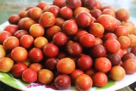 Loại quả quê 90% người thành phố không biết tên, giờ thành đặc sản 