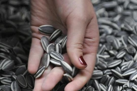 Người đàn ông nôn ra 700ml máu sau khi ăn hạt hướng dương