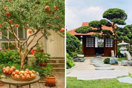 Trong sân nhà trồng 3 cây, tài lộc kéo dài trăm năm