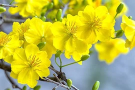 Người sinh vào 4 ngày Âm lịch này ôn hòa, hậu vận phú quý