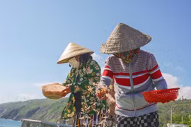 Ngư dân Bình Định hưởng lộc biển cuối năm