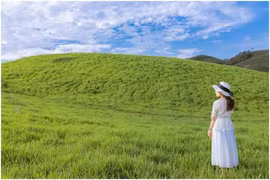 Tọa độ đẹp hệt như ảnh nền huyền thoại Windows 98 ở Mộc Châu