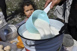 Kyrgyzstan trong mùa lên men sữa ngựa