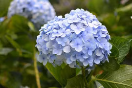 Sinh vào 6 ngày Âm lịch này, trung tuổi tài sản tăng không ngừng