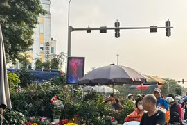 Người Hà Nội nườm nượp đi sắm Tết