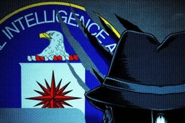Huấn luyện điệp viên mèo: Thất bại trị giá 20 triệu USD của CIA