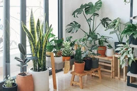 Các thiết bị thông minh giúp tăng chất lượng cuộc sống