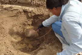 Phát hiện nhiều ngôi mộ cổ 10.000 năm tuổi ở Brazil 