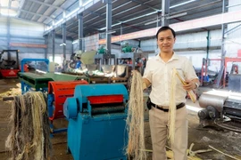 8X nghĩ cách kiếm bộn tiền từ thân cây chuối