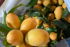 Loại quả vàng óng, hội tụ hương thơm từ 4 thứ quả