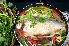 Ông nông dân cứu loại cá suýt tuyệt chủng, giờ giá mỗi con tiền triệu