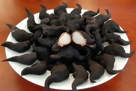 Loại củ xấu xí mọc dưới bùn nhưng tốt ngang "nhân sâm"