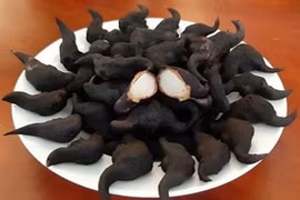 Loại củ xấu xí mọc dưới bùn nhưng tốt ngang "nhân sâm"