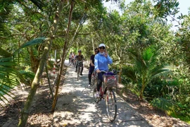Du khách thích thú chèo xuồng, đạp xe khám phá cù lao Tam Hiệp