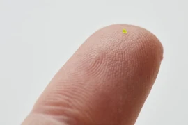 Choáng với túi xách nhỏ hơn...hạt muối giá gần 1,5 tỉ đồng