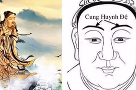 Nhìn tướng lông mày mọc có thể đoán biết được tuổi thọ