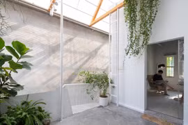 Nhà bỏ hoang thành không gian sống xanh tràn ngập ánh sáng