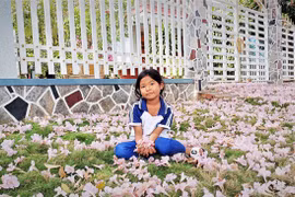 Đường hoa kèn hồng rụng kín mặt đất một màu hồng ở An Giang 