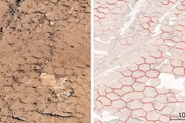 NASA tìm thấy tổ ong có thể là nơi sinh vật ngoài hành tinh ra đời