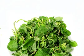 2 loại rau ít "ngậm" thuốc trừ sâu nhất chợ