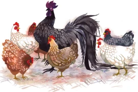 Nỗ lực hết mình, 3 tuổi này tài lộc rực rỡ suốt tháng 8 âm