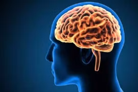 10 hiểu biết sai lầm về não bộ con người