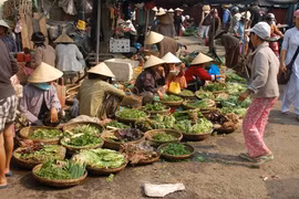 Khách Tây thích thú nói về tiếng Việt