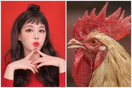 3 tuổi dẫm phải tổ kiến lửa, dễ bị tiểu nhân lọc lừa năm 2023 