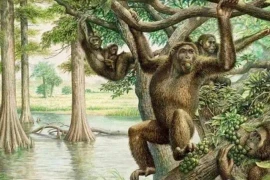 Con người đầu tiên trên thế giới đã ra đời như thế nào?