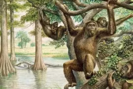 Con người đầu tiên trên thế giới đã ra đời như thế nào?