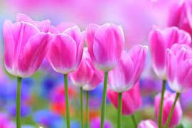 Người sinh vào 5 ngày Âm lịch này, tháng 10 đạt tầm cao mới