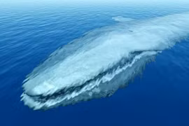 Sinh vật dài nhất thế giới, hơn cả cá voi xanh