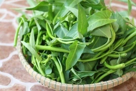 Những đại kỵ khi ăn rau muống, biết mà tránh kẻo hại thận