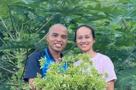 Loại cây bị chặt bỏ, 8x Hoà Bình thu hàng chục triệu đồng/tháng