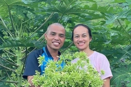 Loại cây bị chặt bỏ, 8x Hoà Bình thu hàng chục triệu đồng/tháng